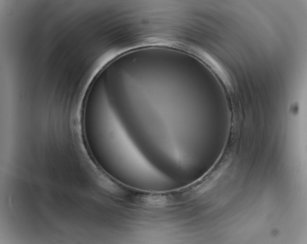 X0000102831291200808181315