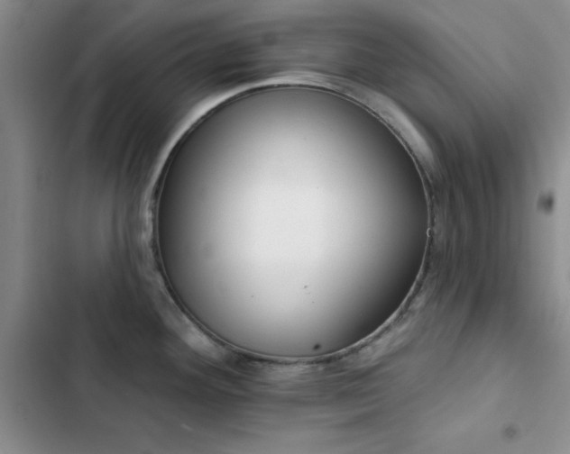 X0000102831292200808181315