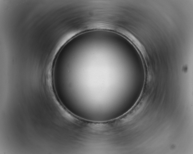 X0000102831293200808181315