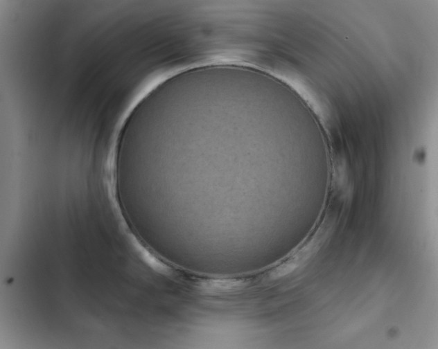 X0000102831294200808181315
