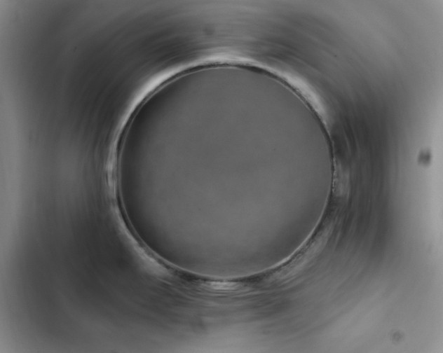 X0000102831295200808181315