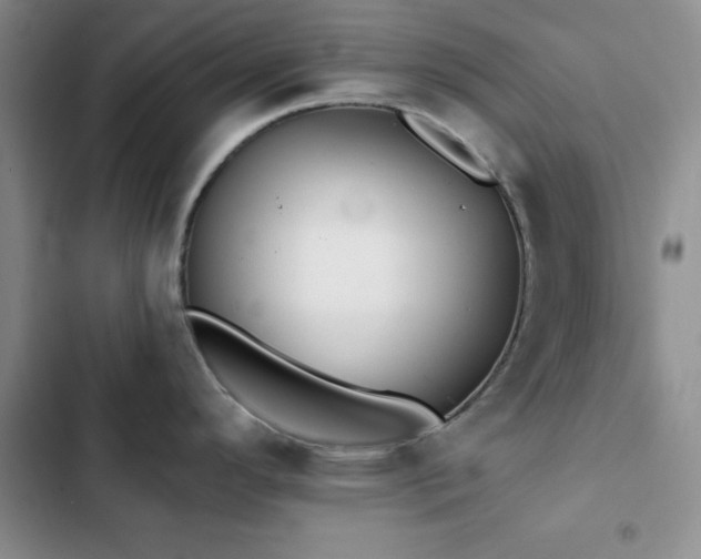 X0000102831296200808181315