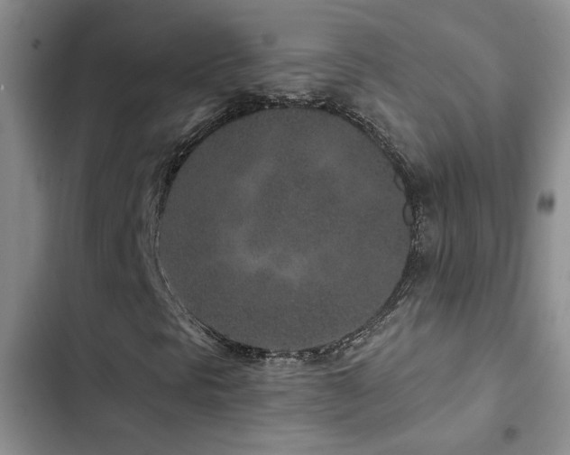 X0000102831297200808181314