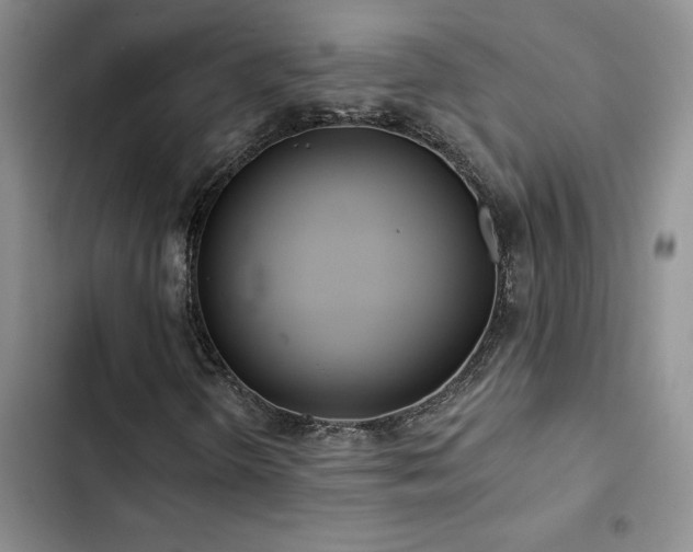 X0000102831298200808181314