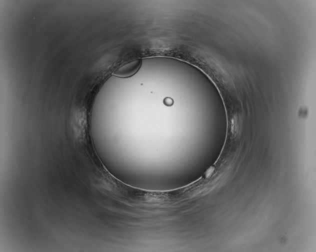 X0000102831299200808181314