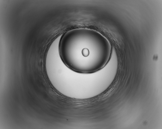 X0000102831300200808181314