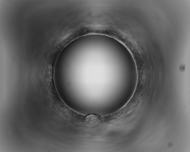 X0000102831301200808181314