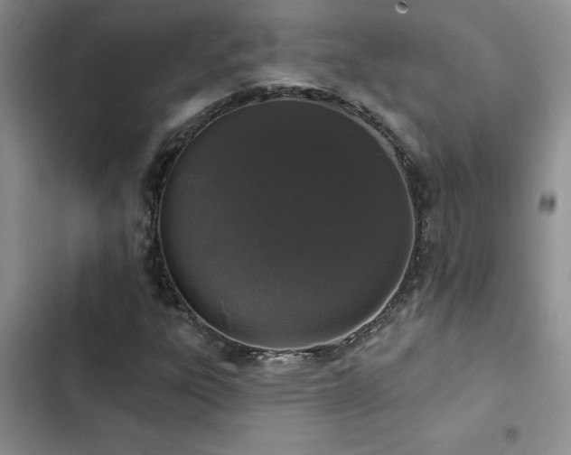 X0000102831303200808181314