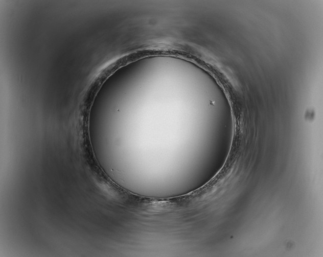X0000102831304200808181314