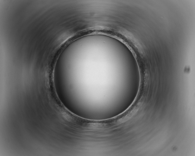 X0000102831305200808181314