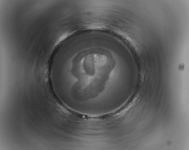 X0000102831306200808181314