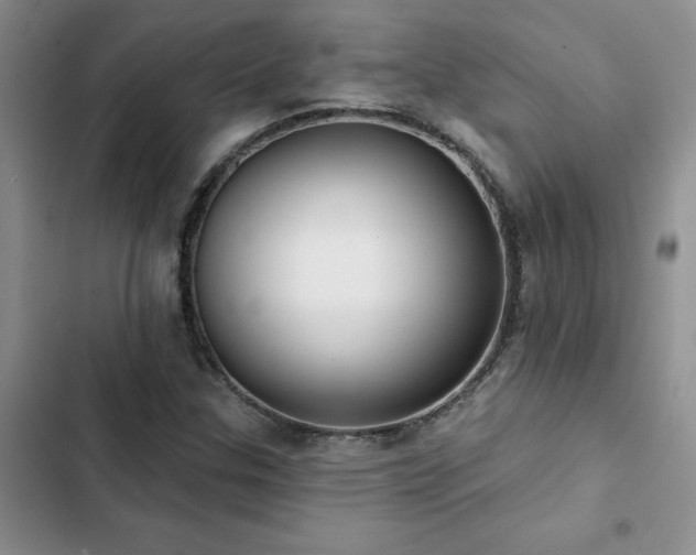 X0000102831307200808181314