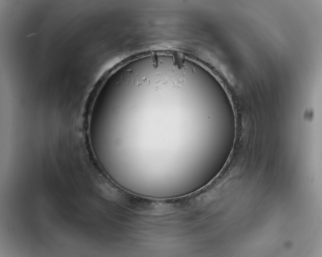 X0000102831308200808181314