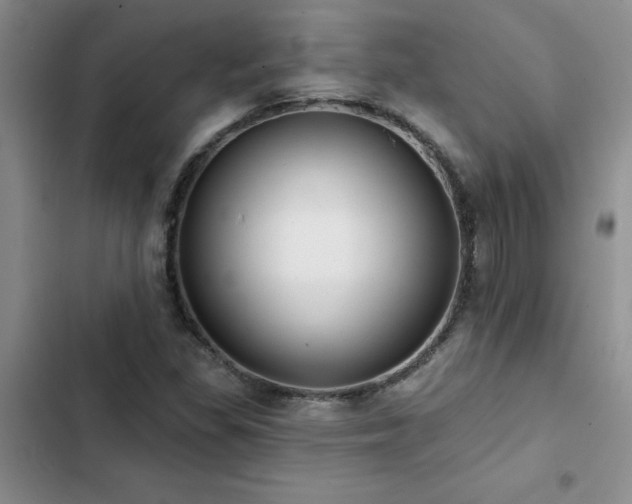 X0000102831309200808181314