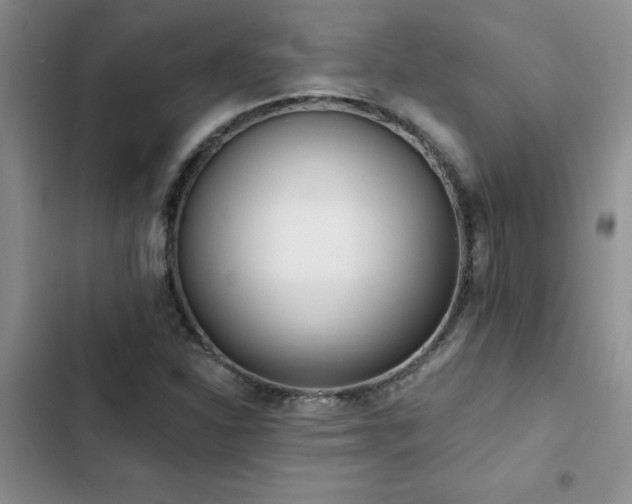 X0000102831310200808181314