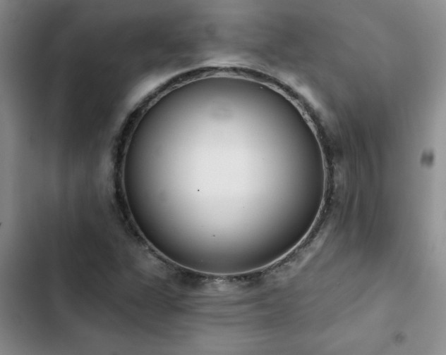X0000102831311200808181314
