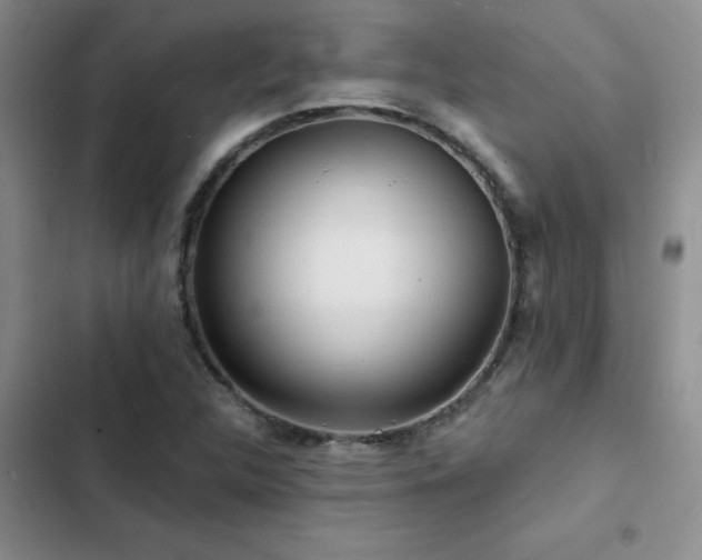 X0000102831312200808181314