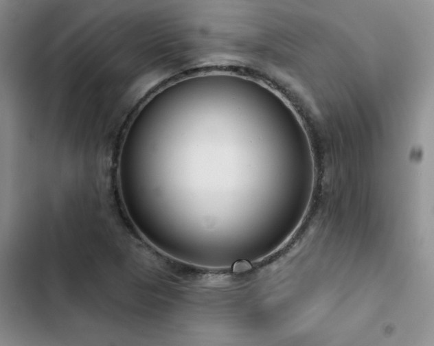 X0000102831313200808181314
