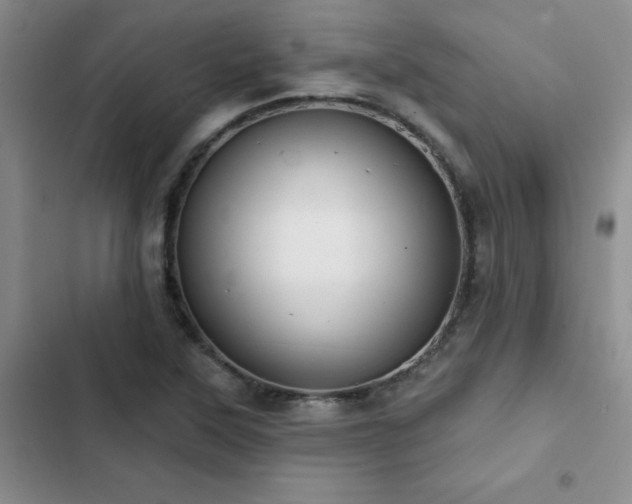 X0000102831315200808181314