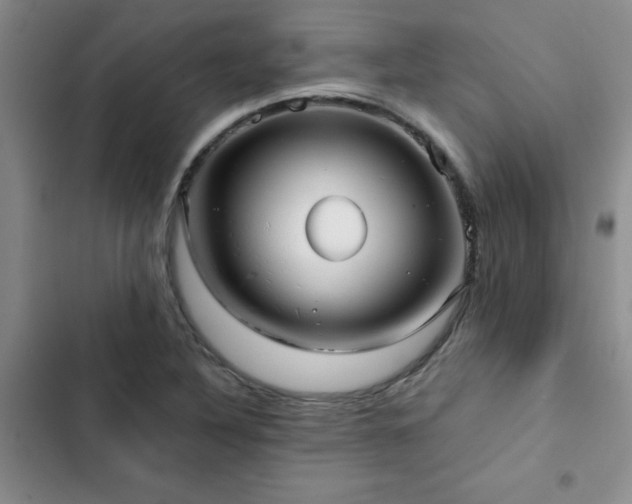 X0000102831316200808181314
