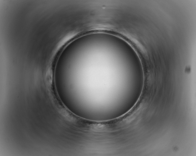 X0000102831317200808181314