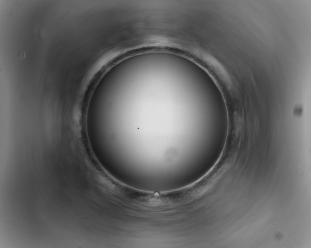 X0000102831318200808181314