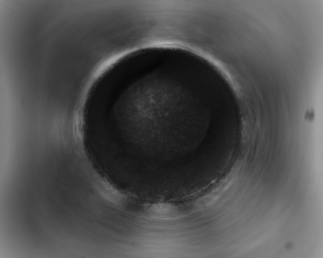 X0000102831319200808181314