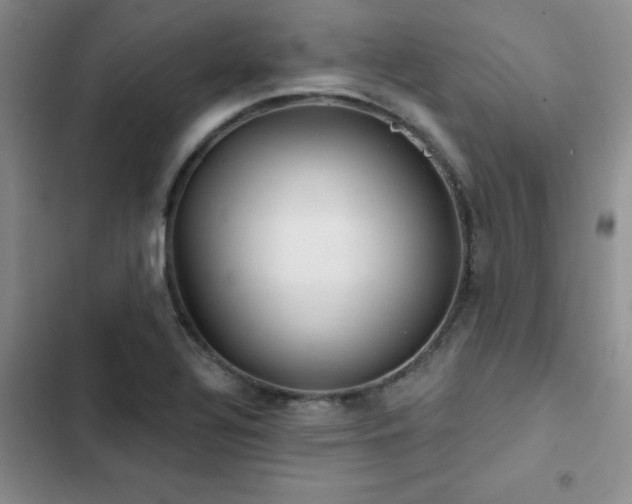 X0000102831320200808181314