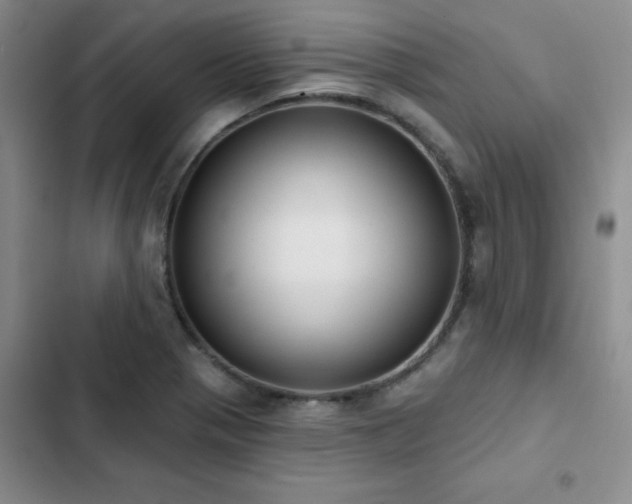 X0000102831321200808181314