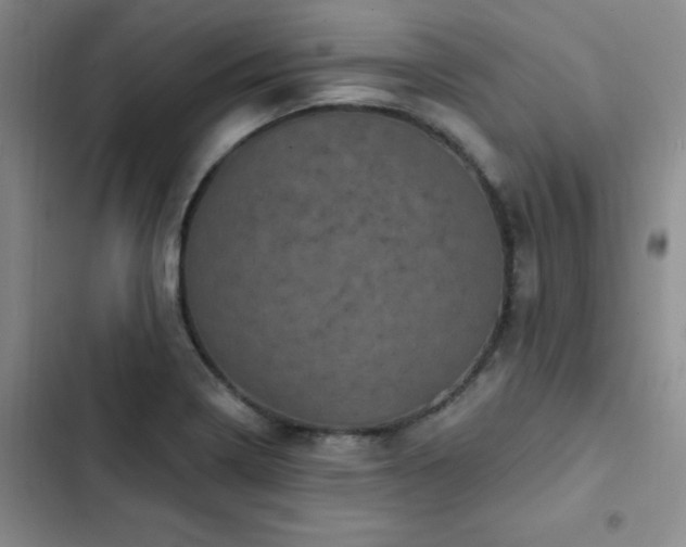 X0000102831322200808181314