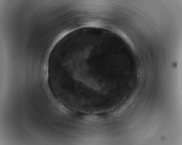 X0000102831323200808181315