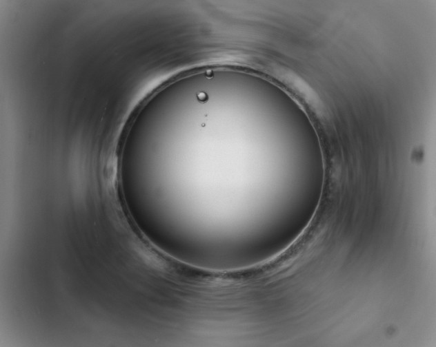 X0000102831324200808181315