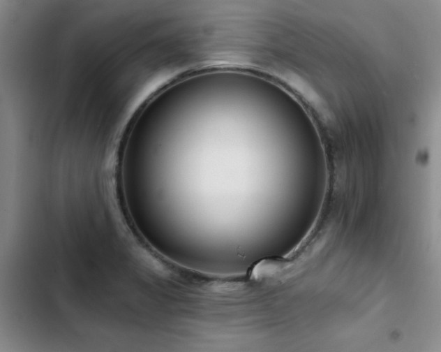 X0000102831325200808181315