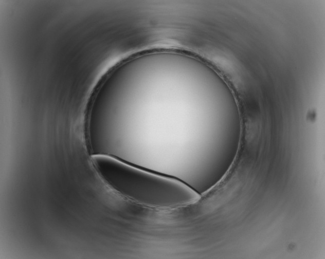 X0000102831326200808181315