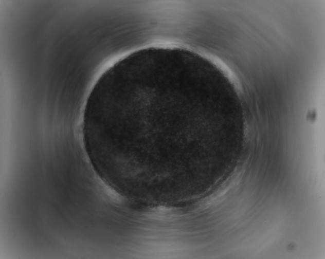 X0000102831327200808181315