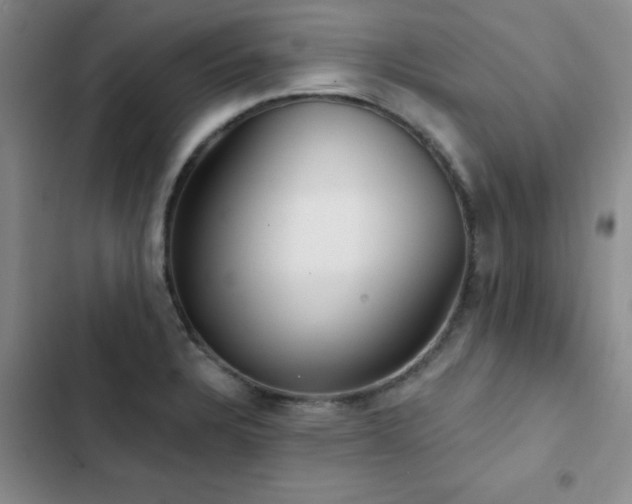 X0000102831328200808181315