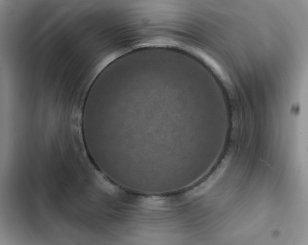 X0000102831329200808181315
