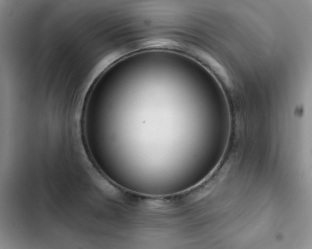 X0000102831330200808181315