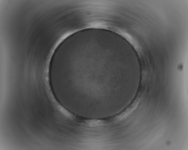 X0000102831331200808181315
