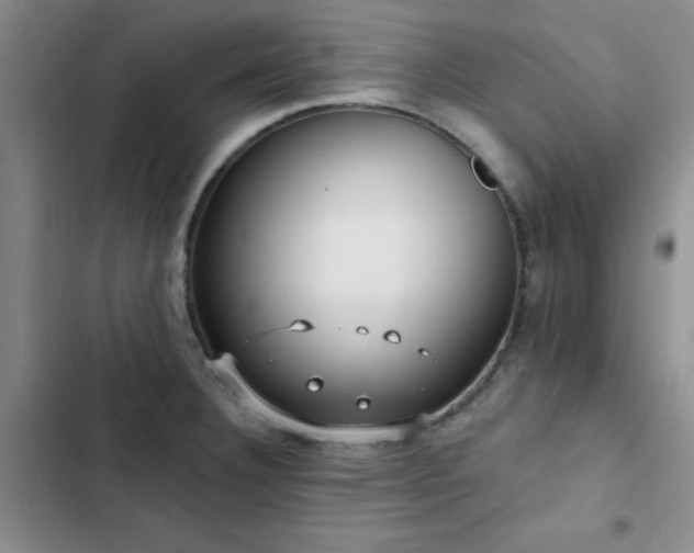 X0000102831332200808181315