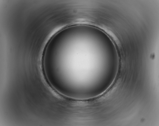 X0000102831333200808181315