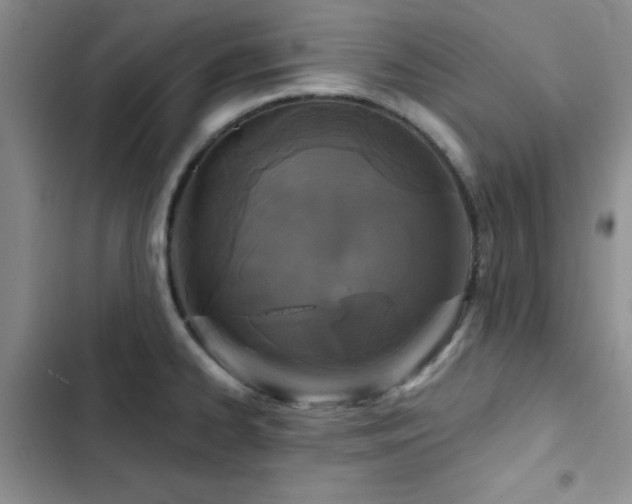 X0000102831334200808181315