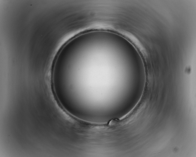 X0000102831335200808181315