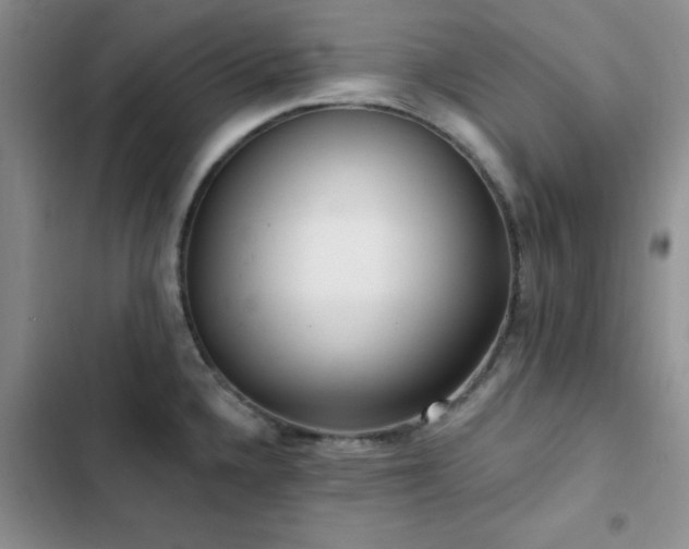 X0000102831336200808181315
