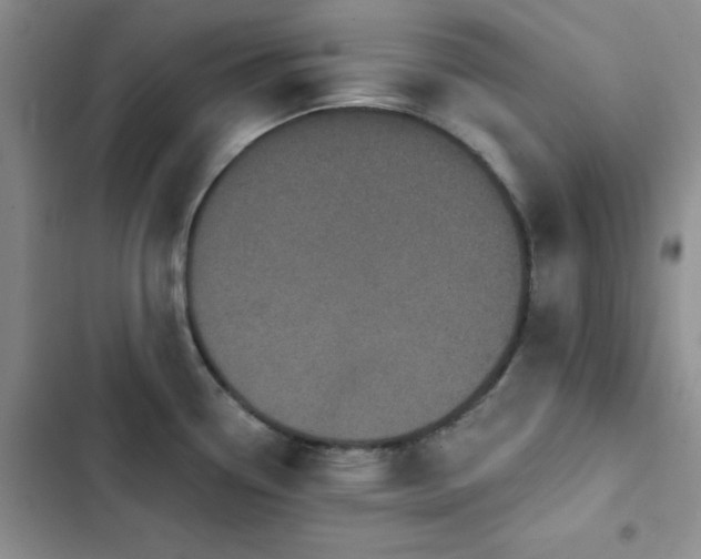 X0000102831338200808181315