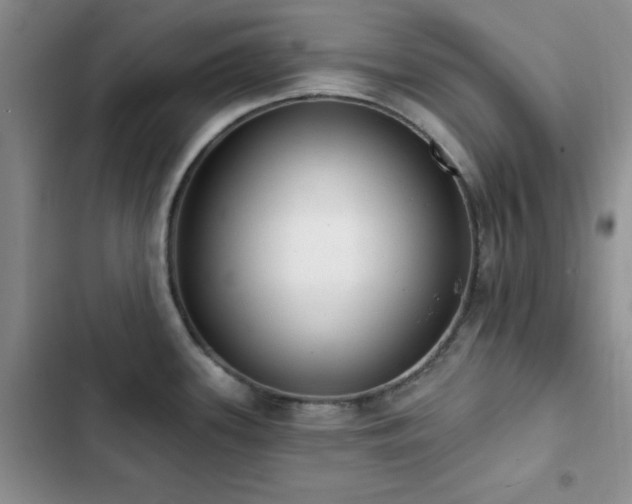 X0000102831339200808181315