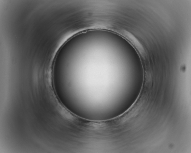 X0000102831340200808181315