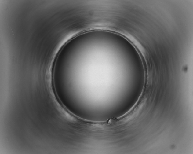 X0000102831341200808181315