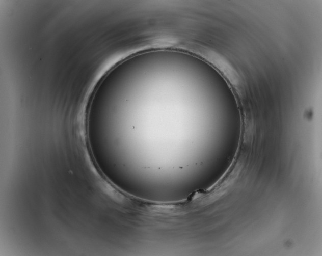 X0000102831342200808181315
