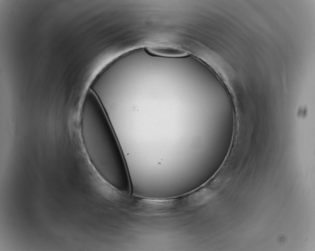 X0000102831344200808181315